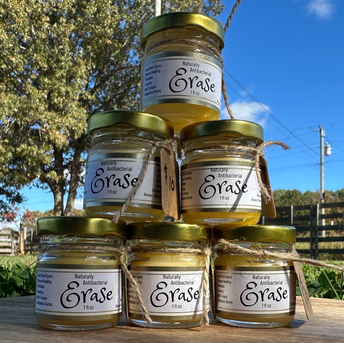 Erase Healing Salve (1 fl. oz.)