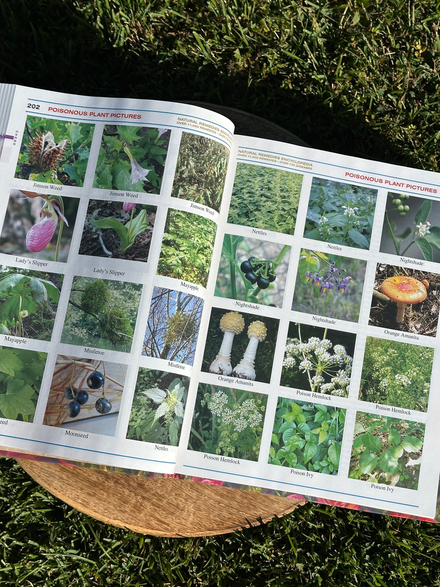 The Natural Remedies Encyclopedia