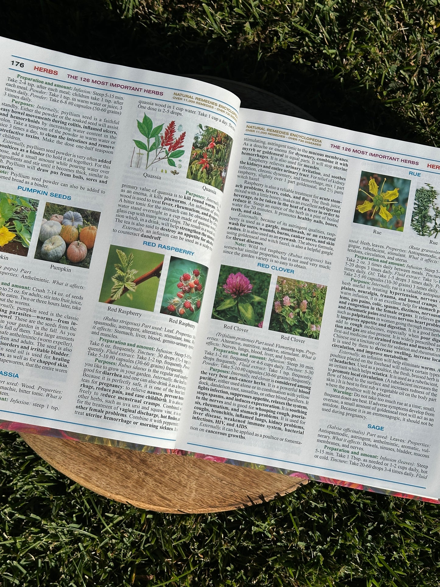 The Natural Remedies Encyclopedia
