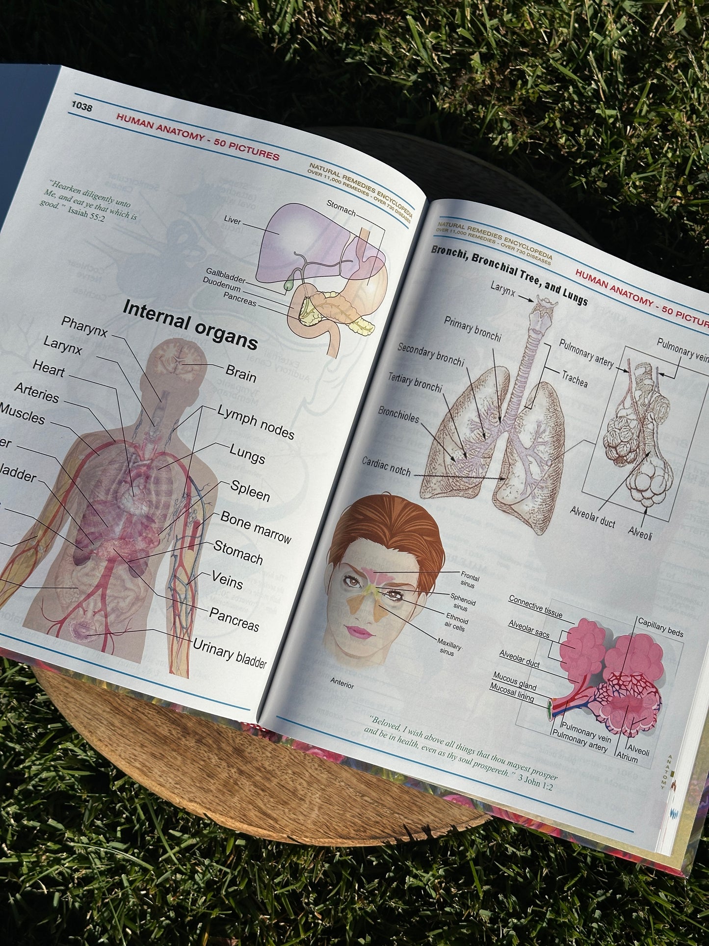 The Natural Remedies Encyclopedia