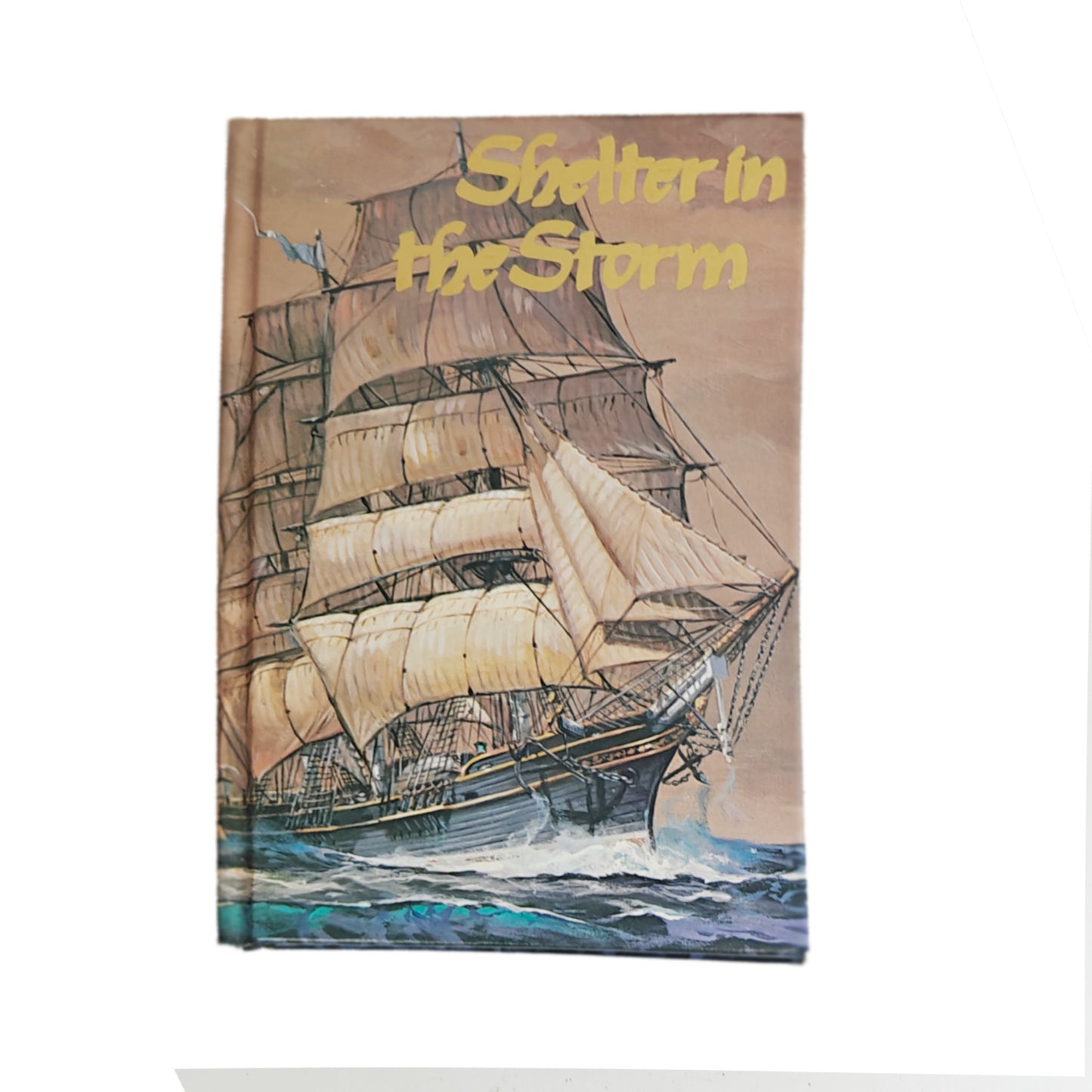 Shelter in the Storm