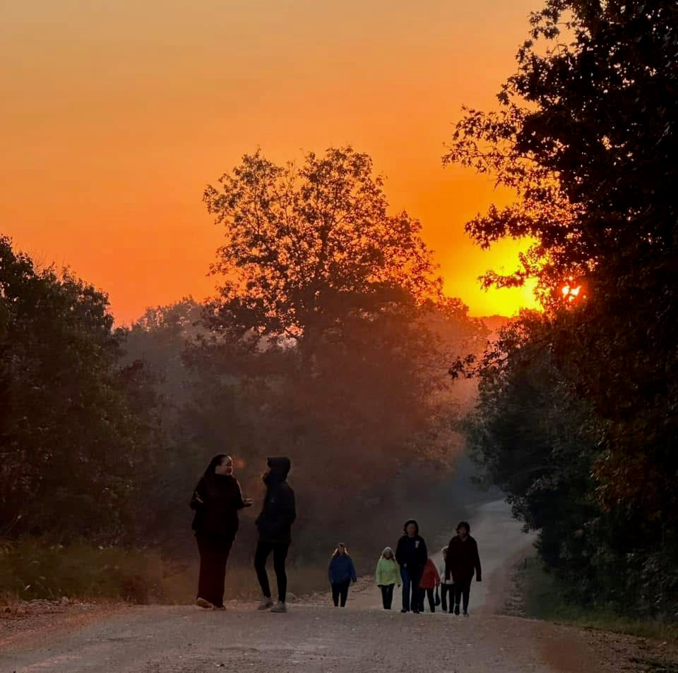 People walking on a dirt path during sunset with trees on either side.